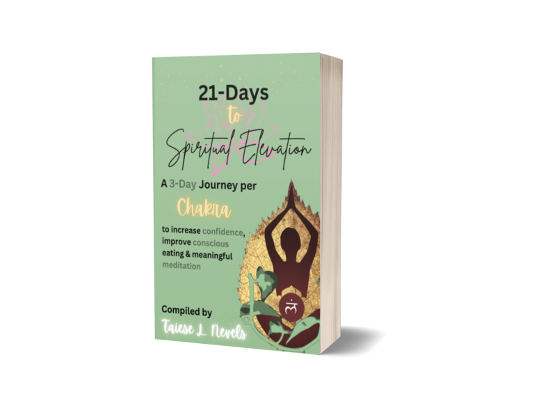 3D cover of 21-Days to Spiritual Elevation