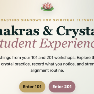 Chakras & Crystals Complete Spiritual Elevation Bundle - 101 + 201 Student Experiences